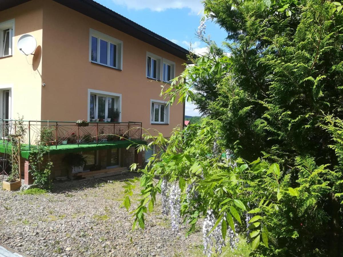 Noclegi pod lasem Solina 20 Exterior foto
