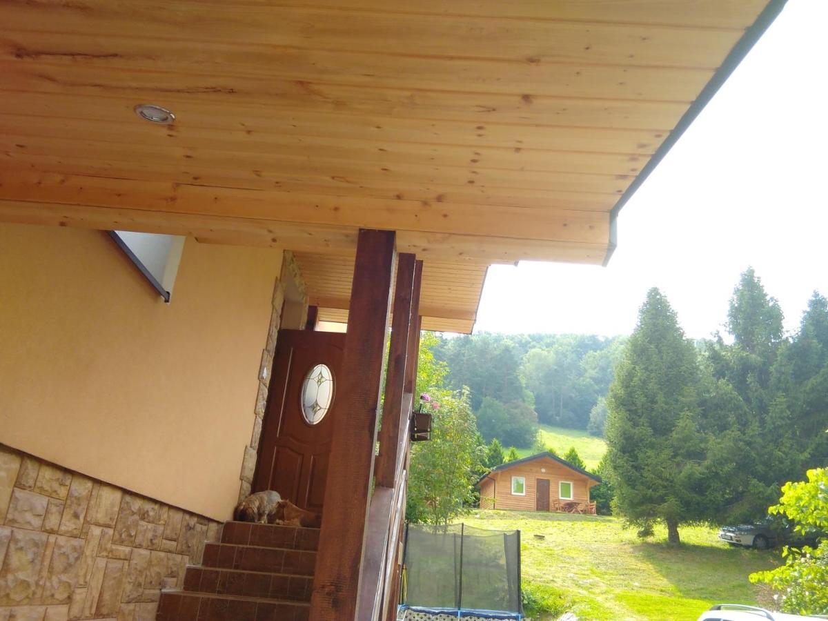 Noclegi pod lasem Solina 20 Exterior foto